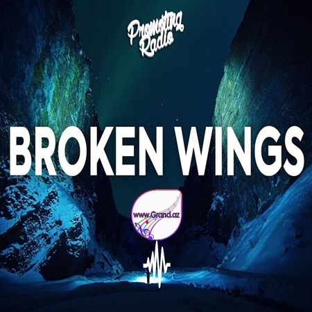 Political Statement - Broken Wings
