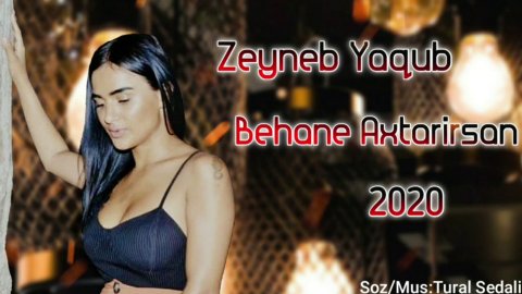 Zeyneb Yaqub - Getmey Ucun Behane Axtarirsan 2020