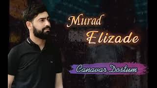 Murad Elizade - Dostum Dostum Canavar Dostum 2022 (Remix)